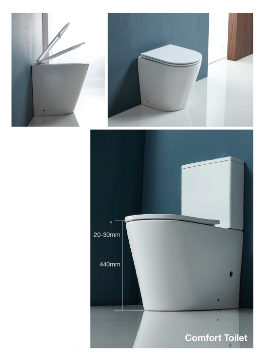 PTW1016 Rimless Wall Faced Toilet Suite Installation Instruction